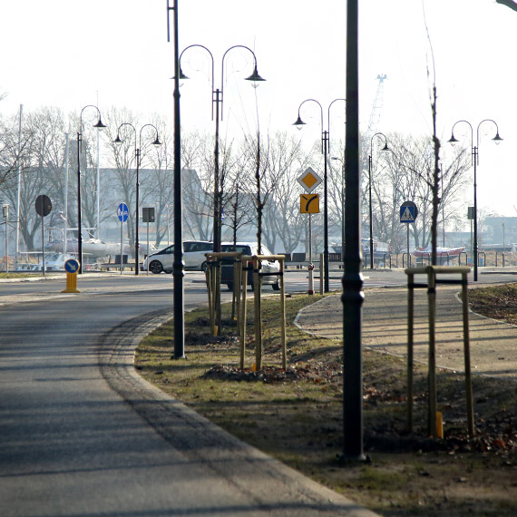 Drzewa niemal przy samej jezdni. Kto pozwoli� na tak� „zielon�” decyzj�?