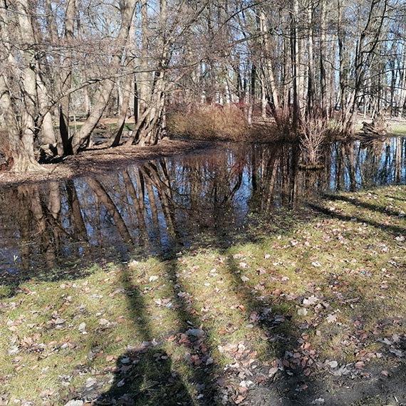 Park Zdrojowy zamienia si� w bagienko. Zalane nawet nowe nasadzenia