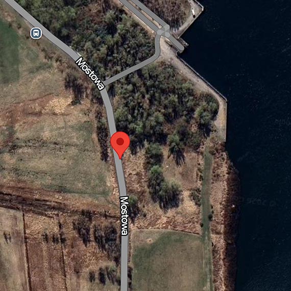 Żaby wychodzą na drogę. Mieszkańcy apelują o reakcję