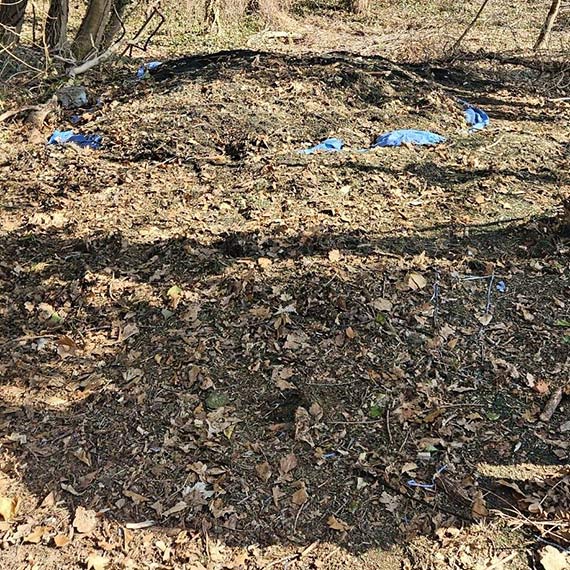 Granulat w lasku przy Matejki. OSiR tłumaczy: to efekt zimowego odśnieżania boiska