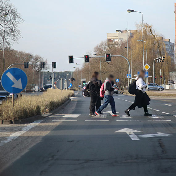 Telefon wa�niejszy ni� �ycie? Piesi wchodz� na pasy „wpatrzeni w ekran” - mandat nawet 300 z�