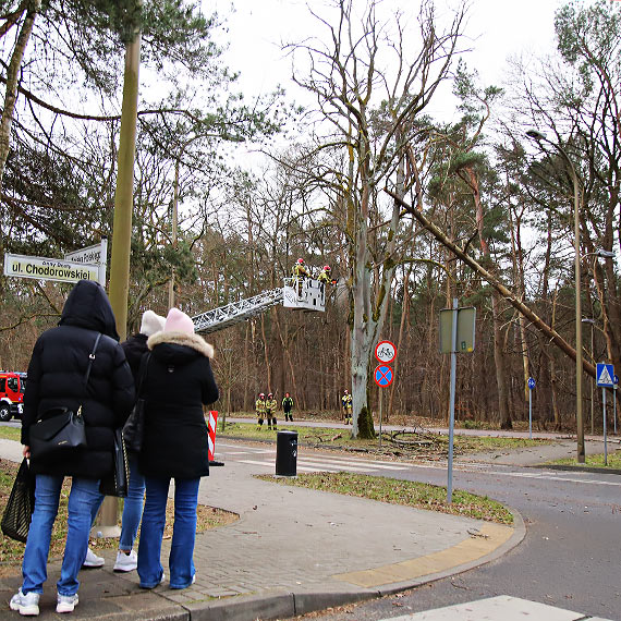 Silny wiatr w Świnoujściu. Strażacy dwukrotnie usuwali zagrożenia na drogach
