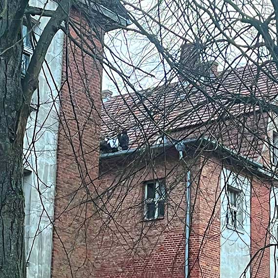 Dzieci na dachu opuszczonego koszarowca. Mieszkańcy alarmują: „Czy musi dojść do tragedii?”