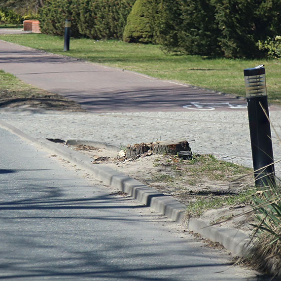 Urzędnicza fuszerka przy Uzdrowiskowej. Wydział Infrastruktury i Zieleni Miejskiej na co czeka? [1]