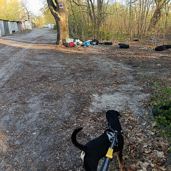 Nielegalne wysypisko przy garażach na ul. Steyera. Mieszkańcy mają dość [1]