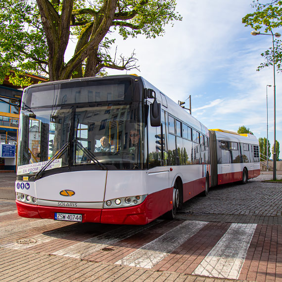 �winouj�cie ma pierwszy autobus przegubowy. Gigant ju� wozi pasa�er�w przy Bielikach