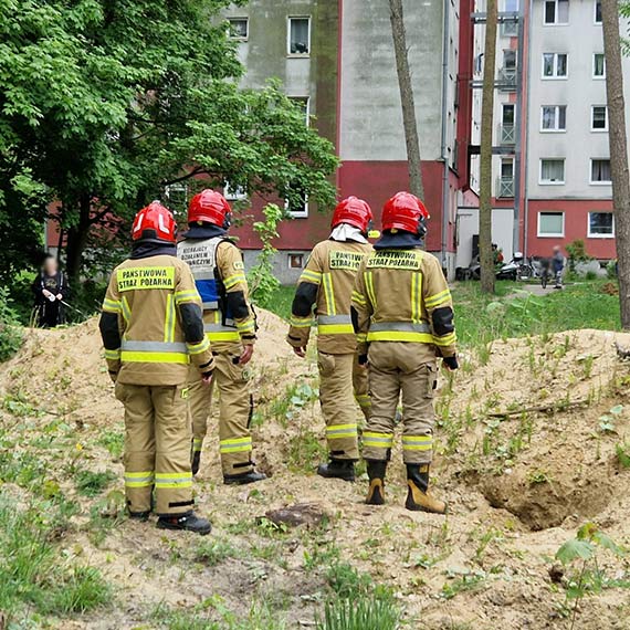 Pszczoły przy ul. Krzywej. Na miejsce wezwano strażaków i pszczelarza