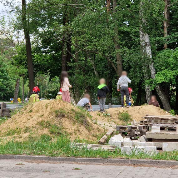 Pszczoły przy ul. Krzywej. Na miejsce wezwano strażaków i pszczelarza