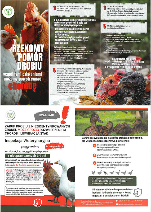 Uwaga na drób z nieznanego źródła. Inspekcja Weterynaryjna ostrzega hodowców i Mieszkańców