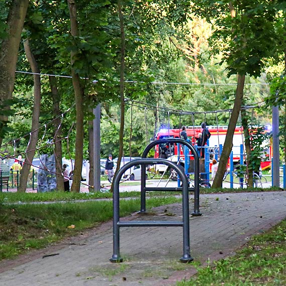 Osy opanowały plac zabaw przy Grunwaldzkiej. Interweniowała straż pożarna