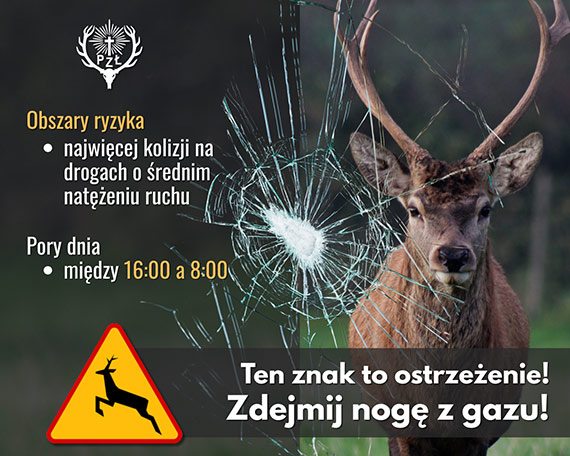 My�liwi z apelem do kierowc�w: zdejmij nog� z gazu