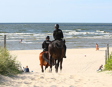 Konie na plaży